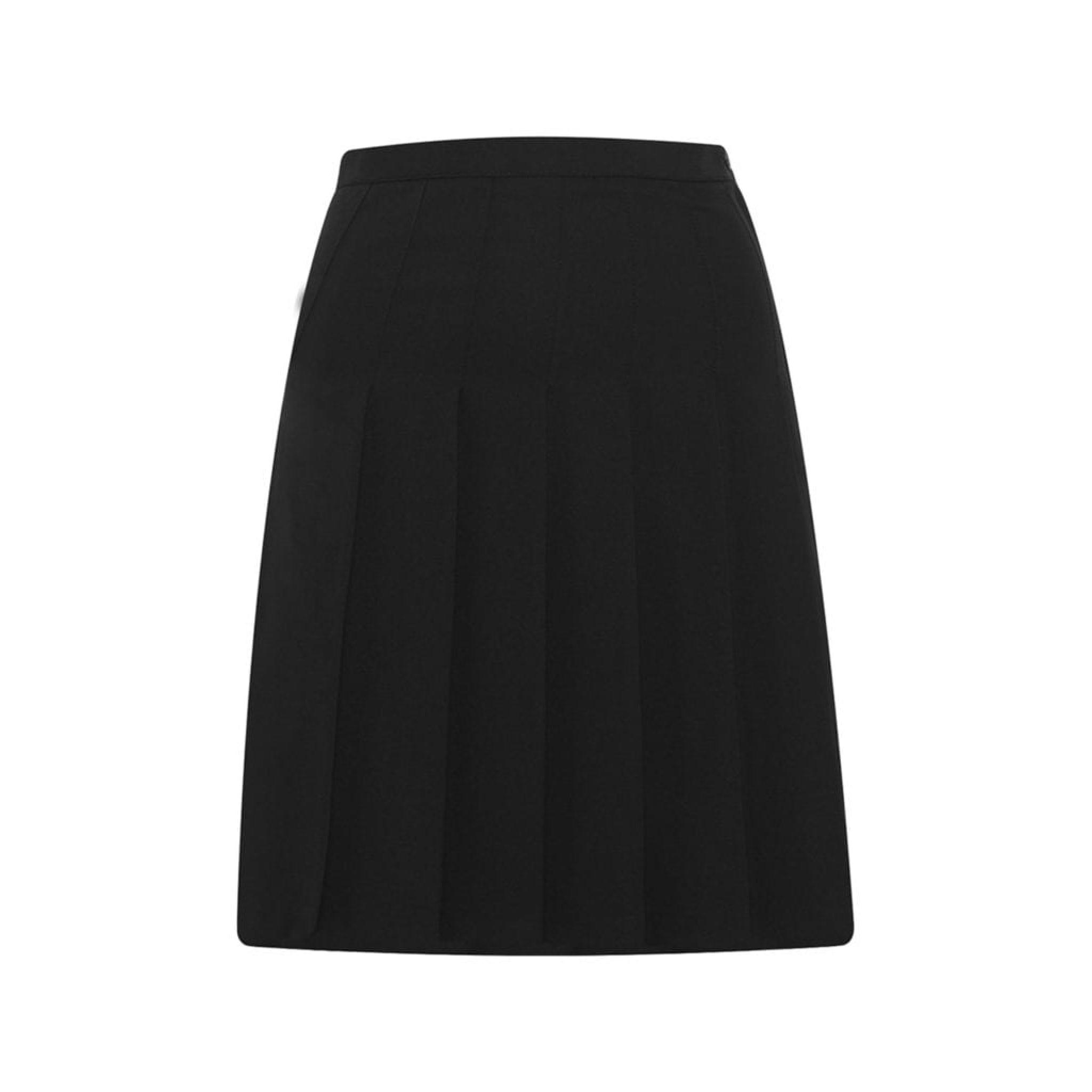 Designer Pleated Skirt