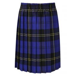 tartan skirt royal.jpg